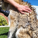 Super Jato de Espuma para Pets - Mundo Zoom 