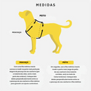 Kit Pata Feliz🐾 - Conforto para Pet