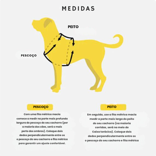 Kit Pata Feliz🐾 - Conforto para Pet