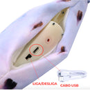 Peixe Sapeca - O companheiro diário do seu pet - Mundo Zoom 