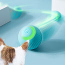 Bola Inteligente para Pet - Smart Ball™ - Mundo Zoom 